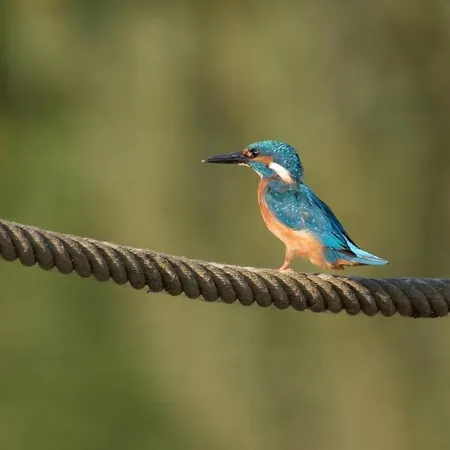 Alpesi faház La Sur Le Aux Temps Des Sources Veyrines-de-Domme