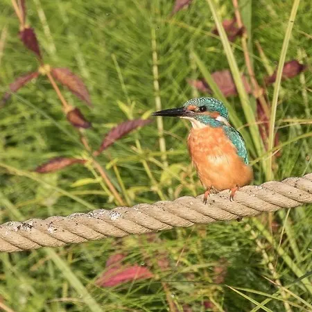 La Sur Le Aux Temps Des Sources Alpesi faház