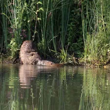 La Sur L'étang Des Sources *