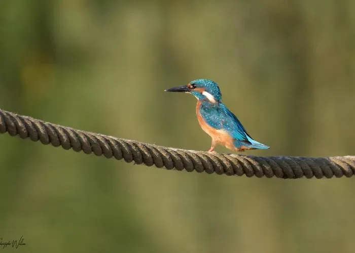 Horská chata La Sur Le Aux Temps Des Sources Veyrines-de-Domme