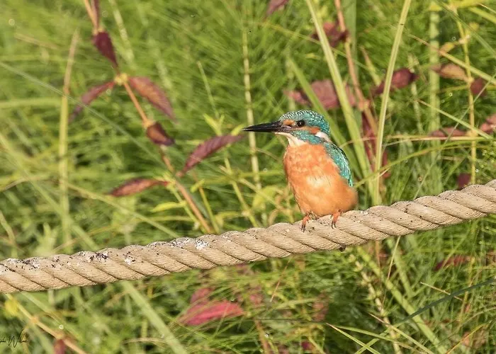 La Sur Le Aux Temps Des Sources Horská chata