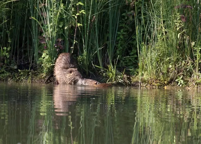 La Sur Le Aux Temps Des Sources *
